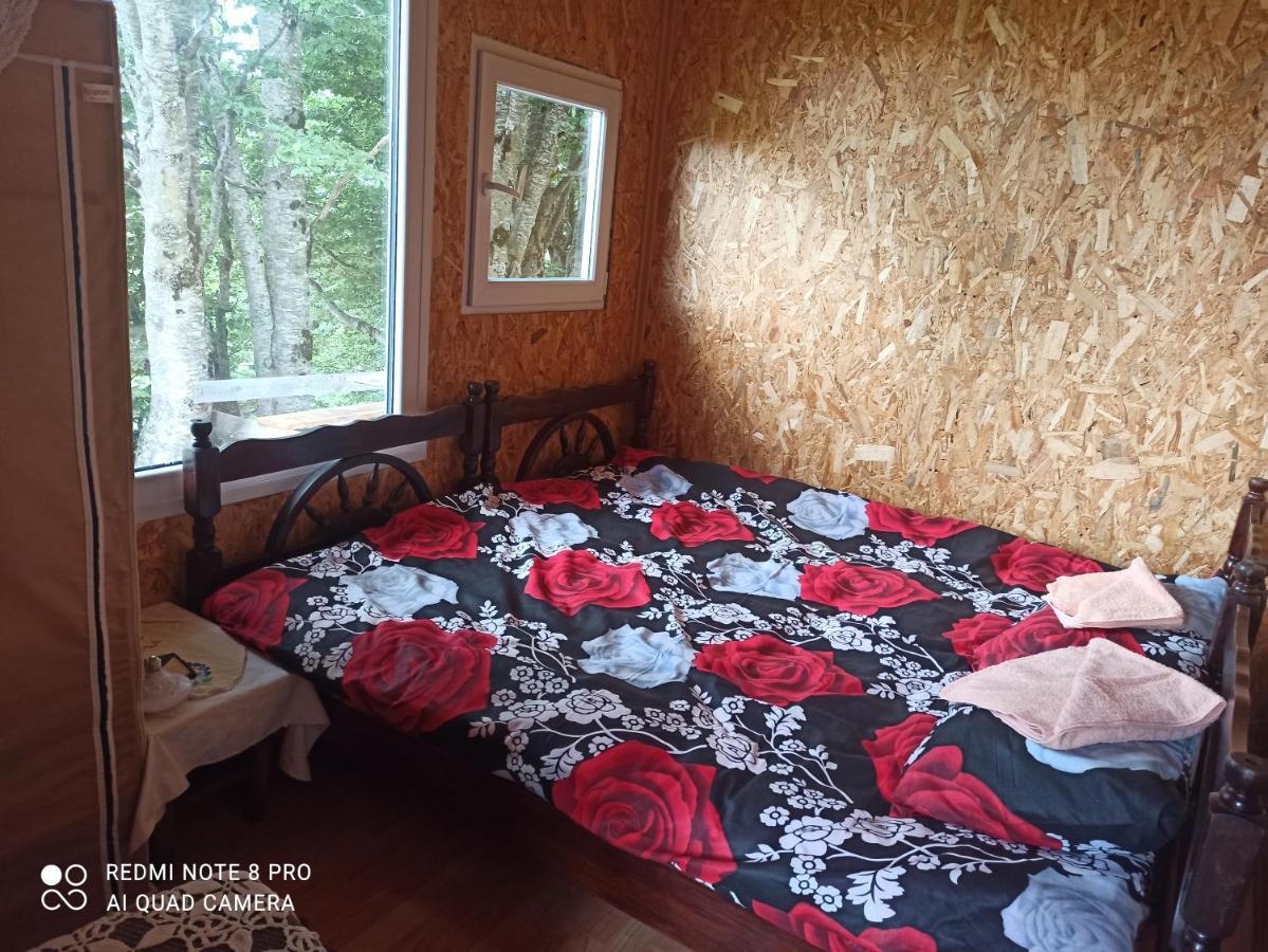 Katun Ljeljenak Hotel Plužine Ngoại thất bức ảnh